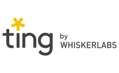 Ting